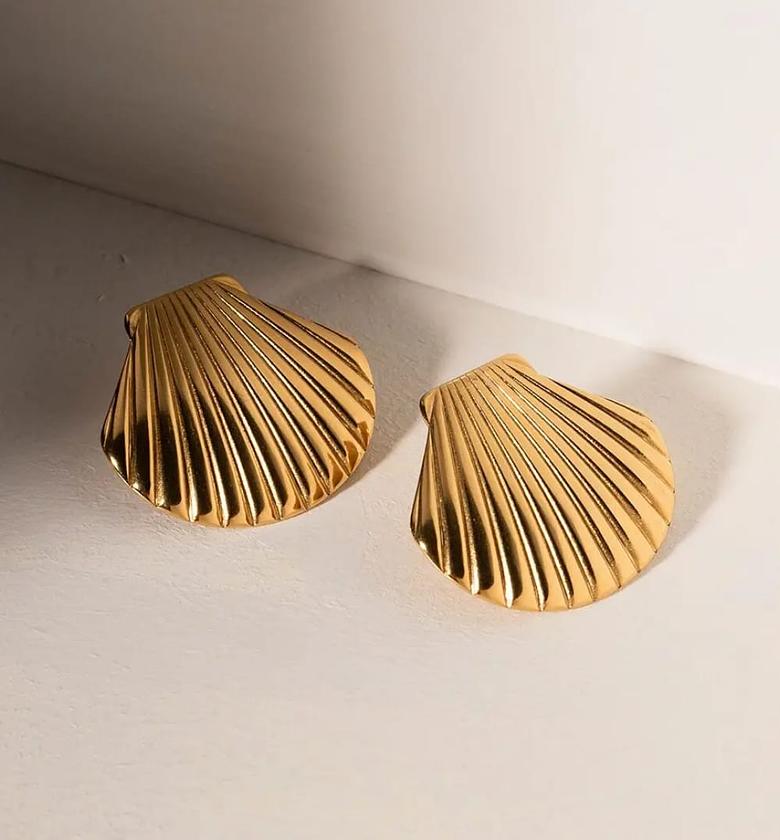 Shell earrings  image
