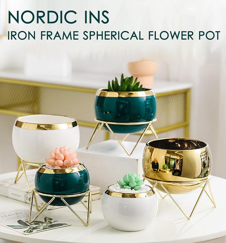 Nordic Succulent Plant Flower Pot No Flowers image