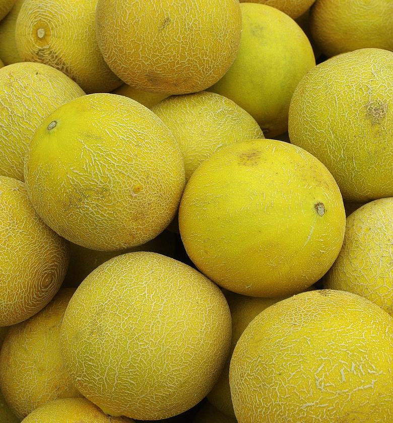 Honey dew Melon(Green)- Per Piece  image