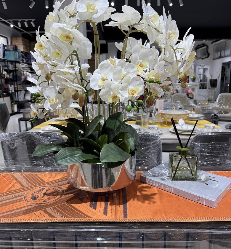 Luxury white orchid in a silver vase image