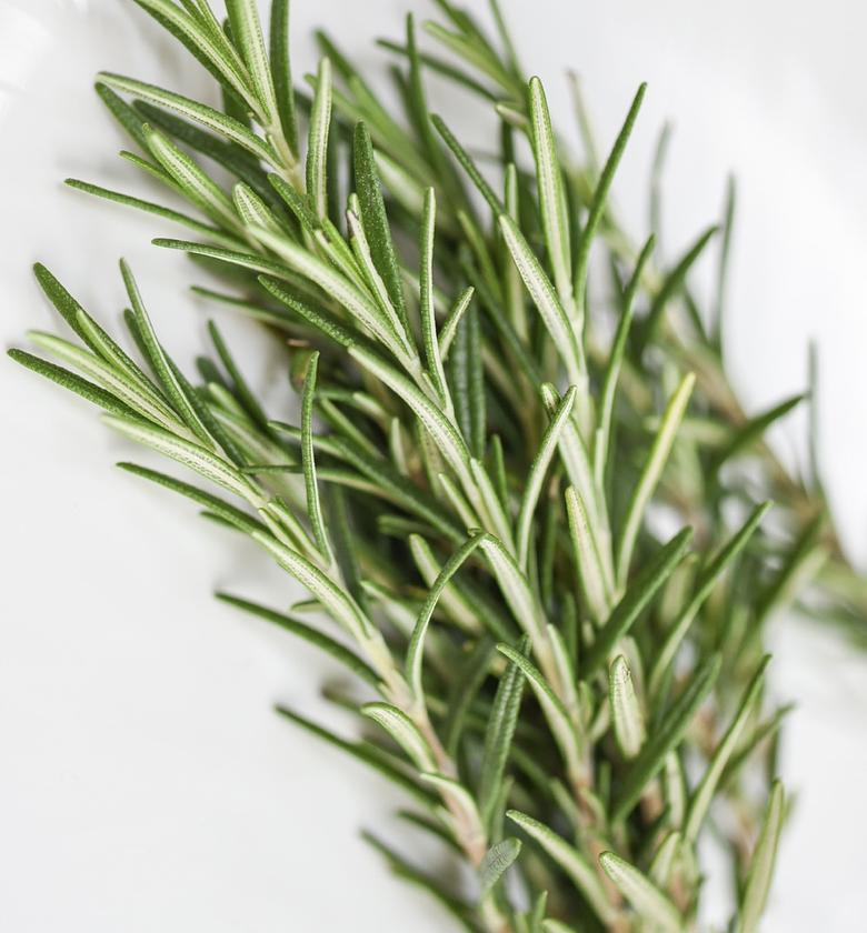Rosemary-Per Bunch  image
