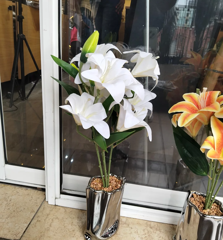 Table Top Big Silver Potted Flowers. image
