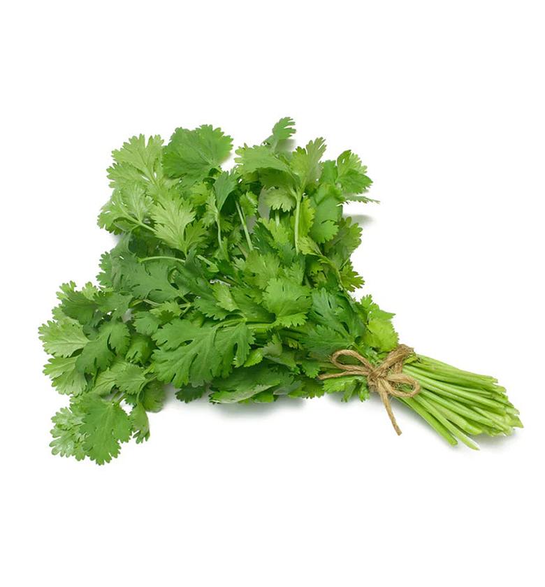 Dhania/Coriander Leaves (Cilantro) per Bunch image